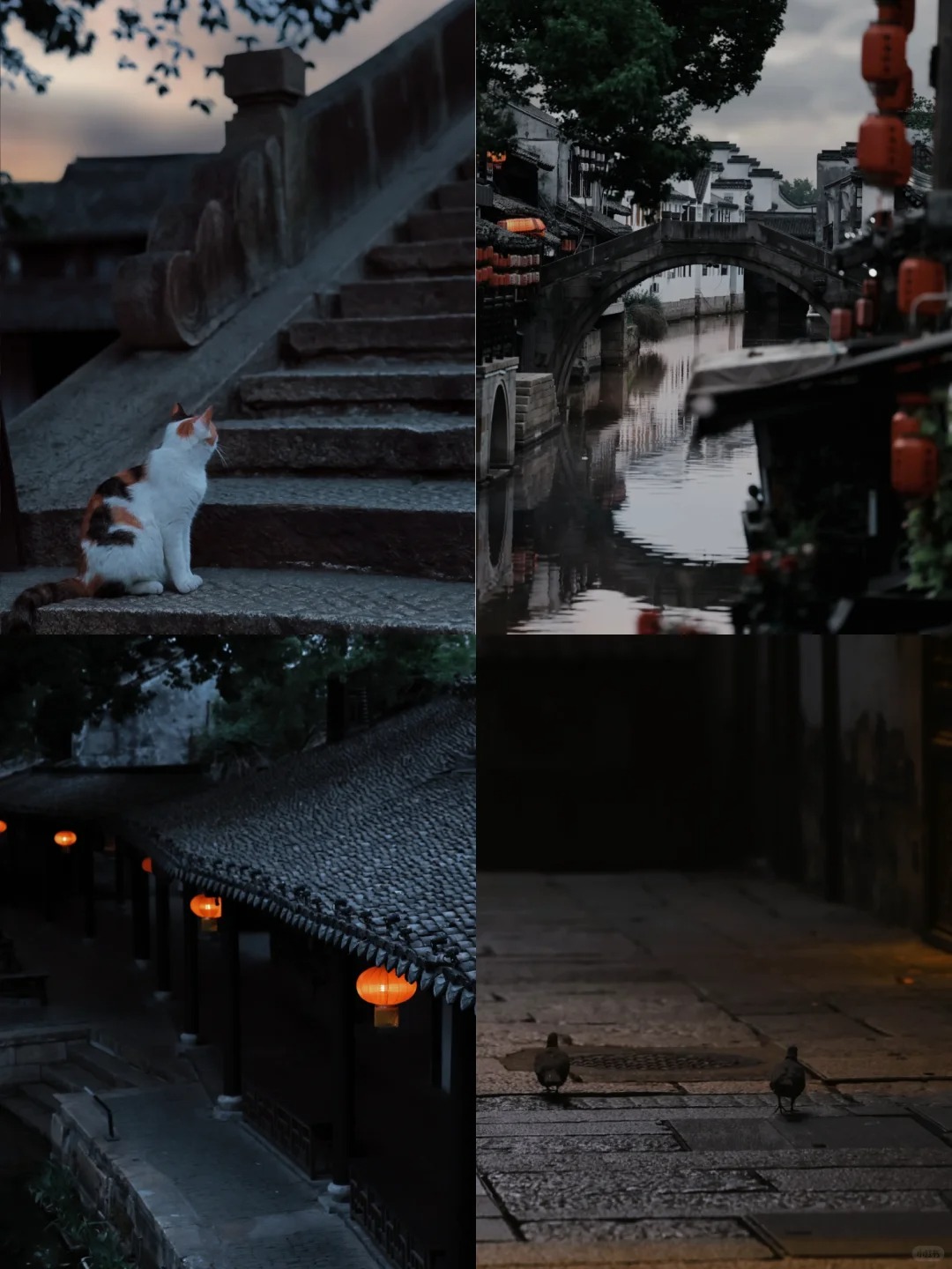 🍃 你见过清晨的西塘吗？_1_爱拍照的的老韩📷_西塘-古镇-来自52tours 我爱旅游网